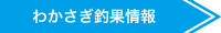 わかさぎ釣果情報