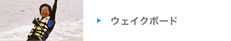 ウェイクボード