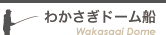 わかさぎドーム船
