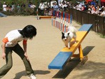 ドギーパーク